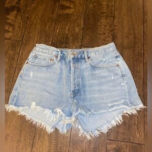 Agolde Parker Denim Short
